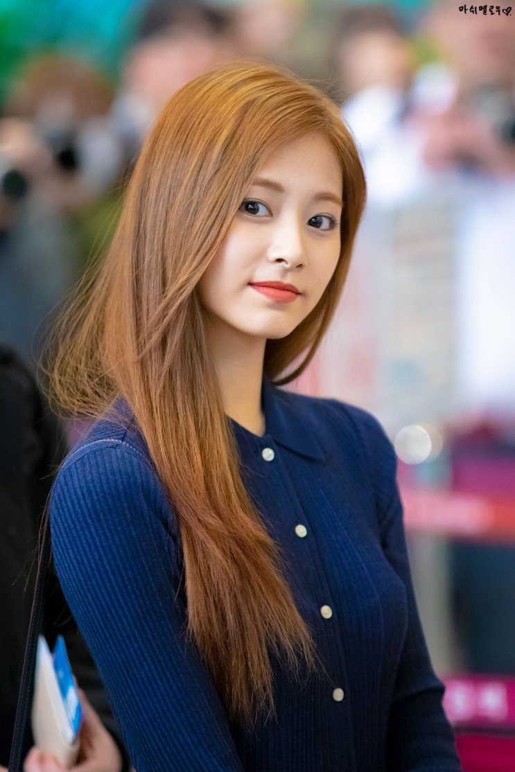 
쯔위
