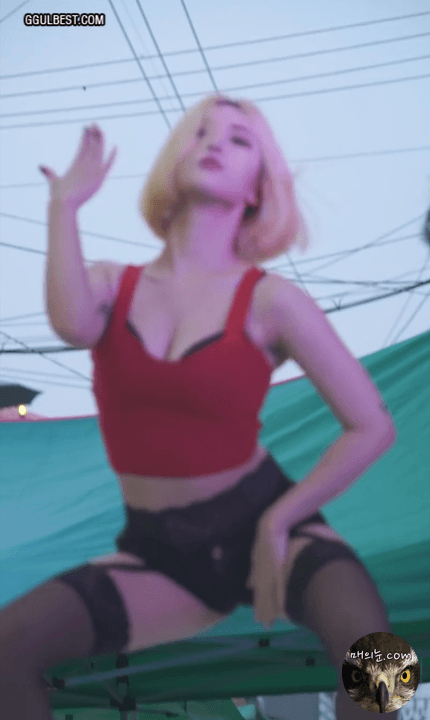 댄스팀 가터벨트녀
