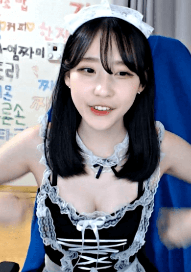
BJ짜미 메이드복

