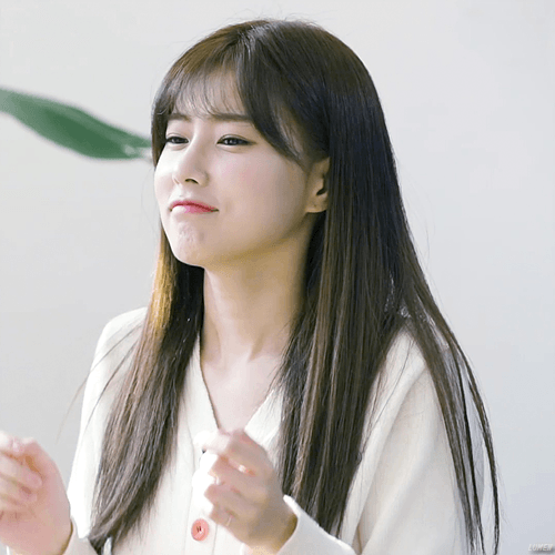 
냥이
