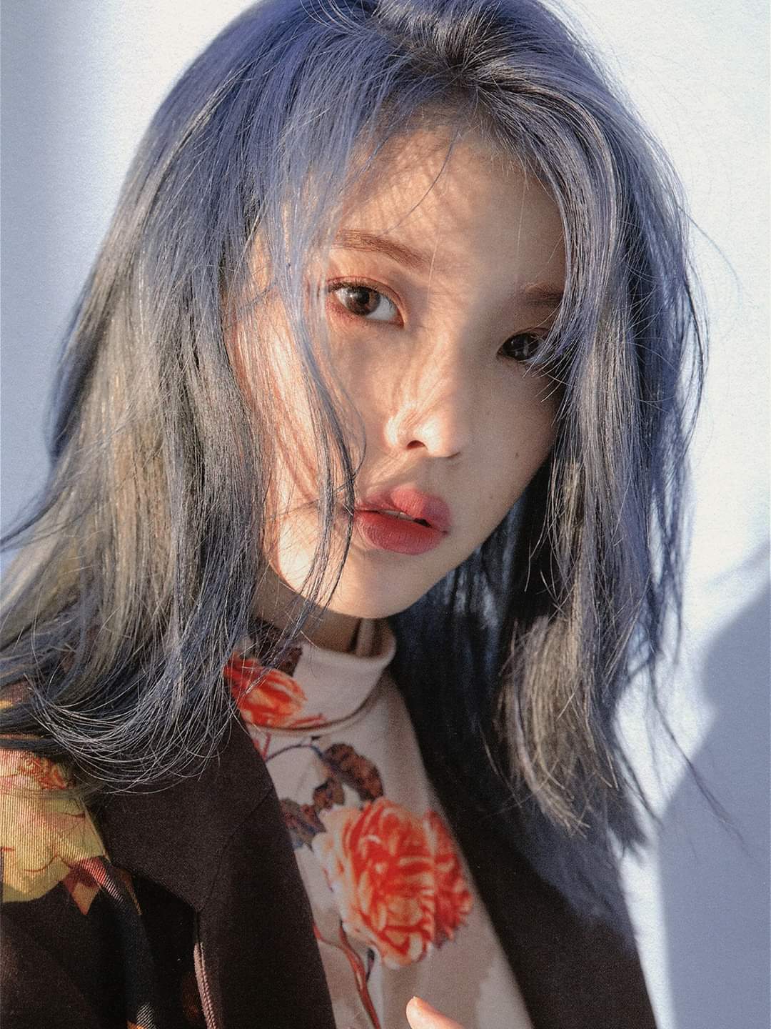
아이유
