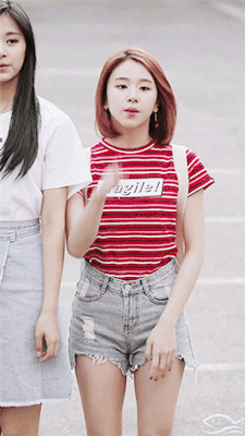 
트와이스 채영
