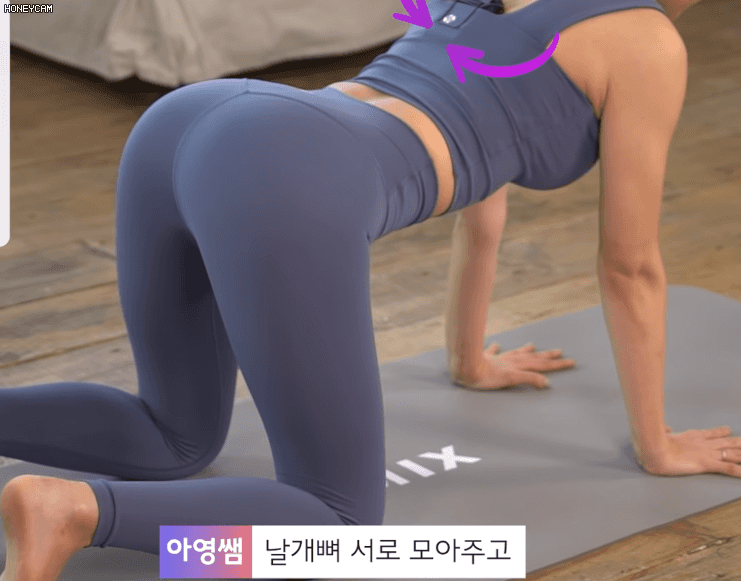 
고양이 자세

