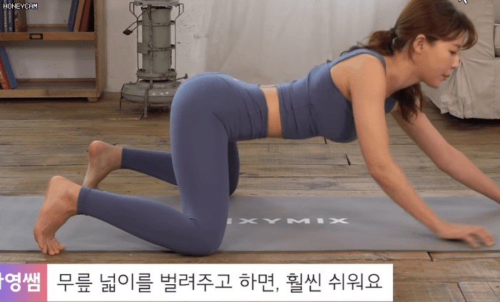 
고양이 자세
