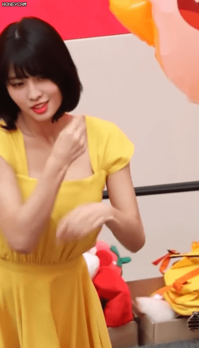 
모모
