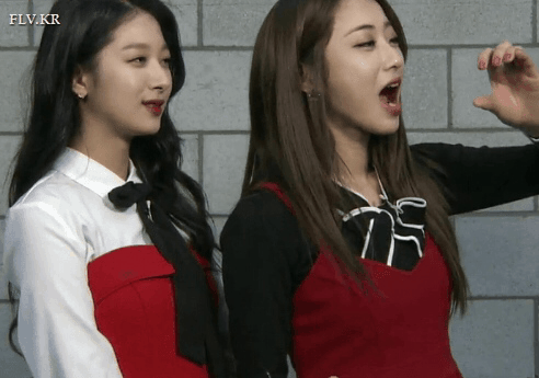 
야들은 왜 이럴까요?
