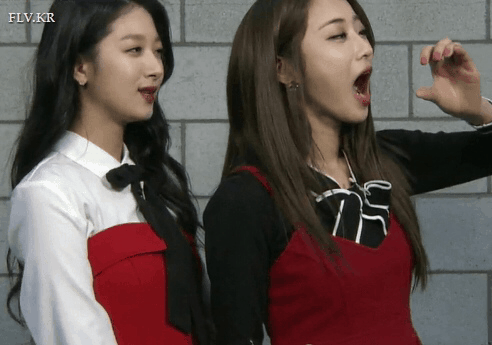 
야들은 왜 이럴까요?
