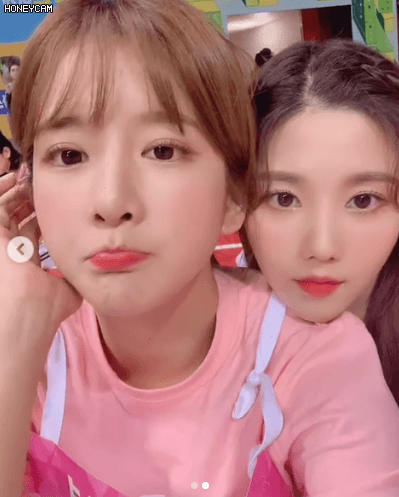 우주소녀와 친목하는 걸그룹들.jpgif
