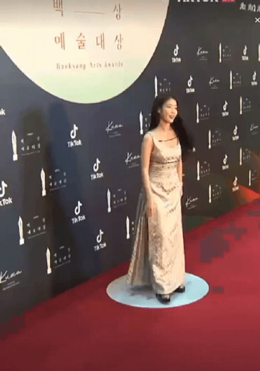 
배우 아이유 백상예술대상
