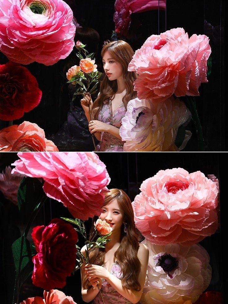 
컴백한 우주소녀 보나 비주얼.jpgif
