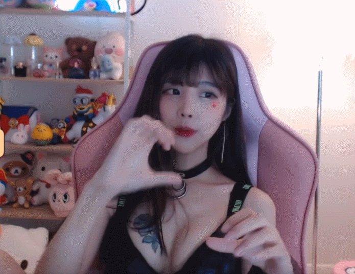 
신입 고양이
