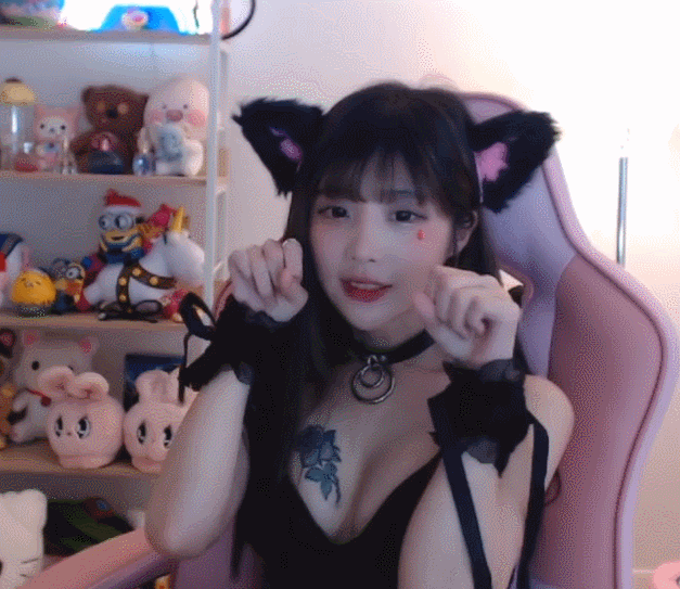 
신입 고양이
