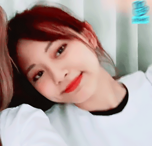 
말랑콩떡 쯔위 (트와이스)
