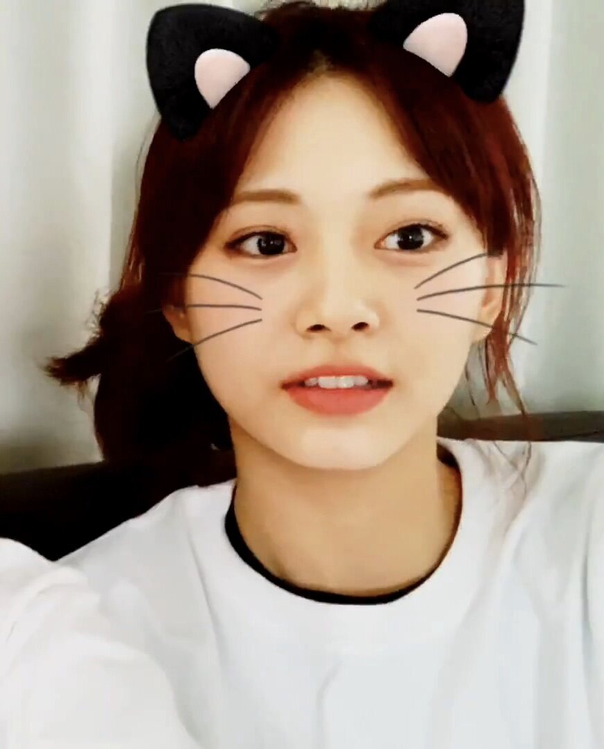 
말랑콩떡 쯔위 (트와이스)
