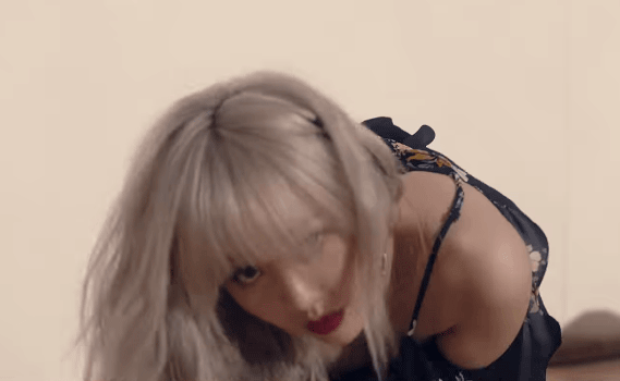 
윤조
