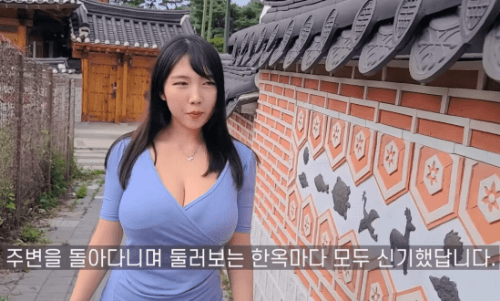 
ㅎㅂ)한옥이 신기한처자.gif
