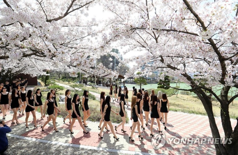 
전설의 모델 학과 야외수업
