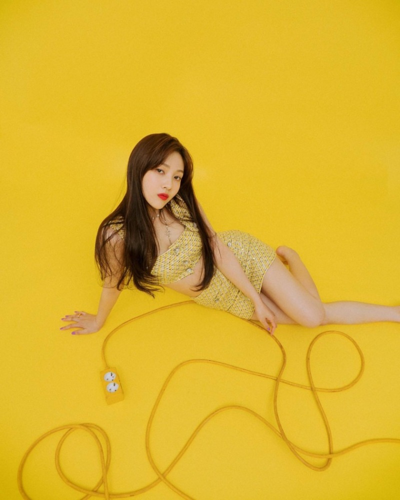 
노오란 조이
