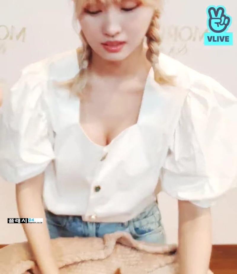 
모모
