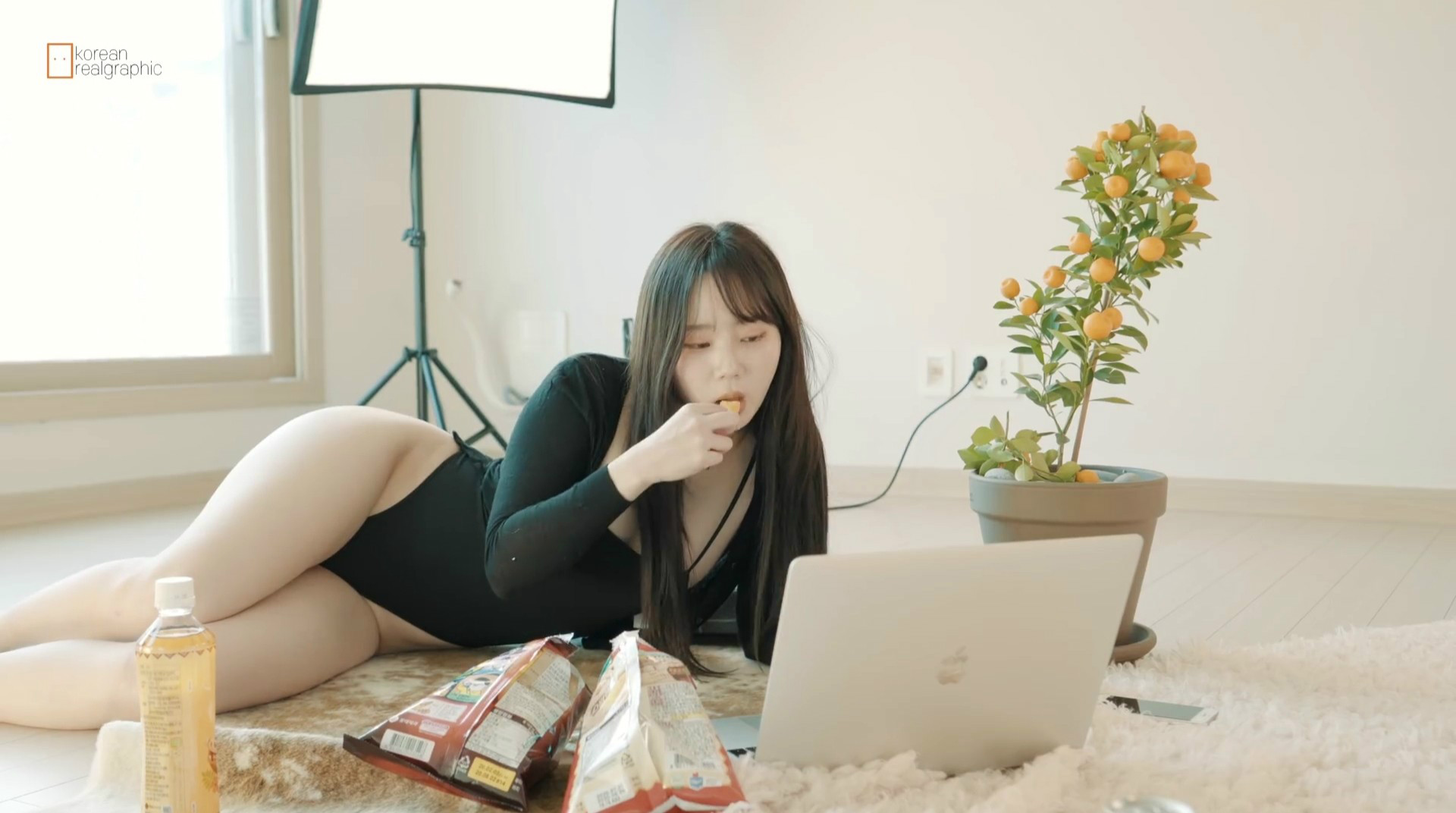 카펫에서