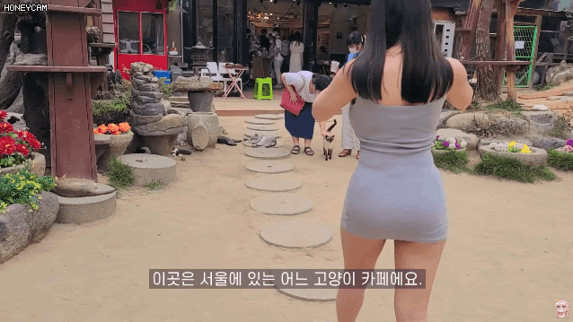 
고양이 카페에 놀러간 처자

