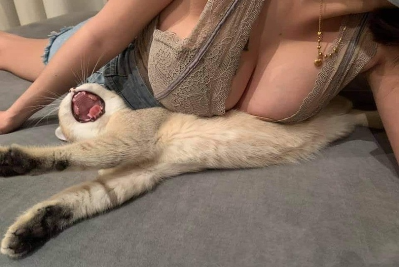
 안녕하세요. 자게에서 왔어요~
