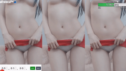 
앞 & 뒤
