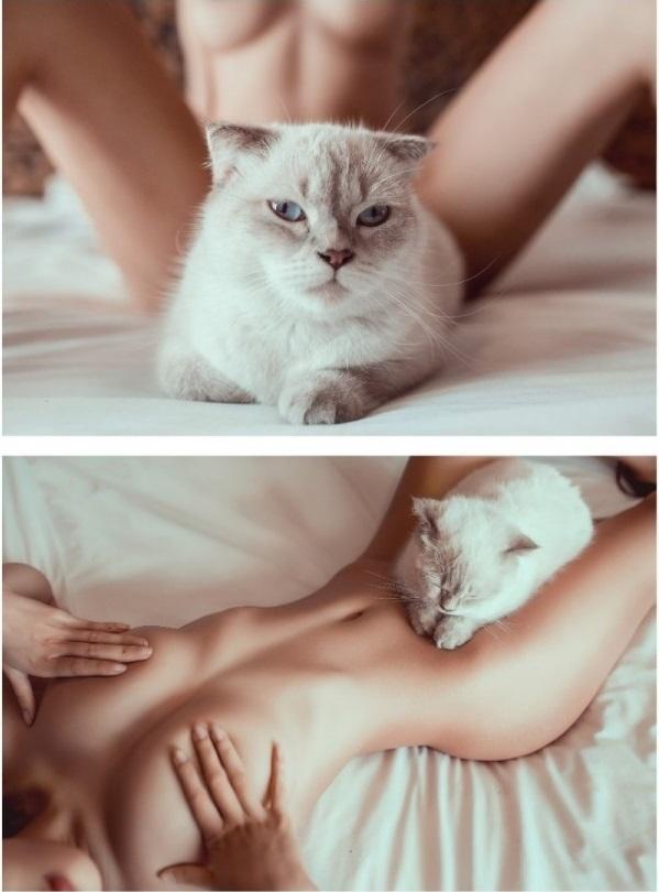 
나쁜 고양이!!
