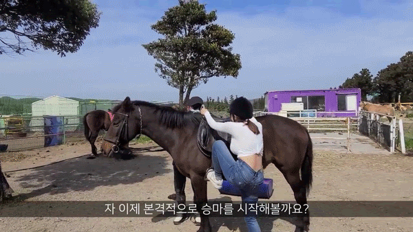 
승마 배우는...언냐+_+♡
