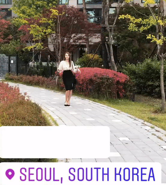 
ㅇㅎ] 백마
