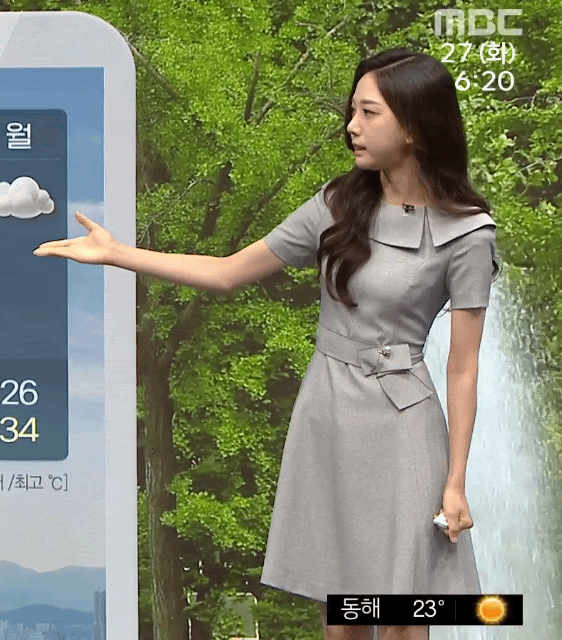 
기상 캐스터
