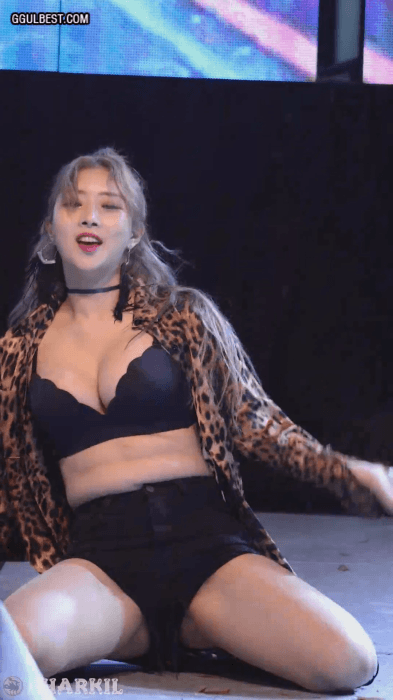 
레이샤 솜
