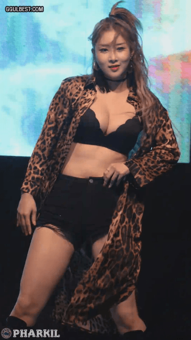 
레이샤 솜
