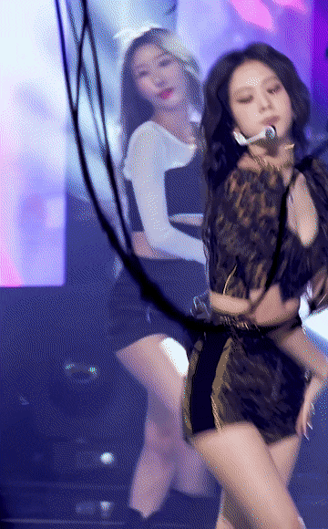 
블랙핑크 호피 지수
