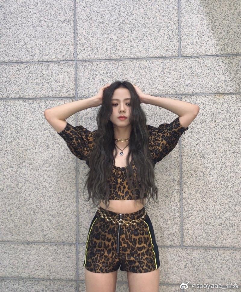 
블랙핑크 호피 지수
