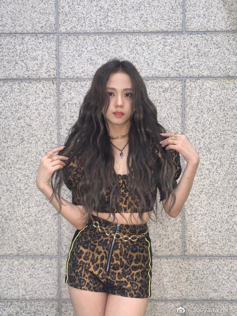 
블랙핑크 호피 지수
