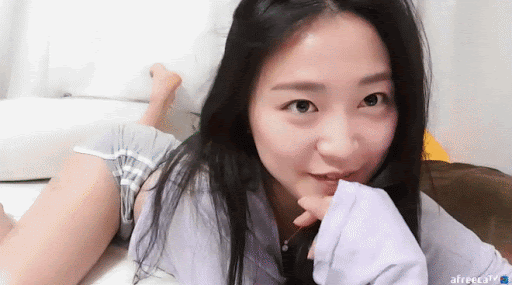 돌핀팬츠가 귀여운걸~