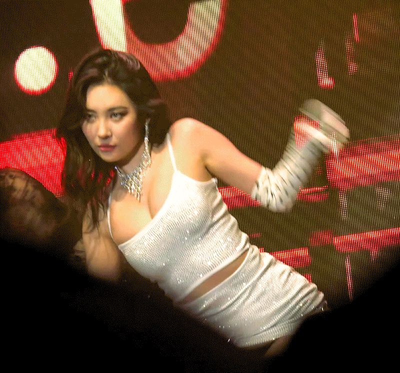 
벌크업의 좋은 예 선미.gif
