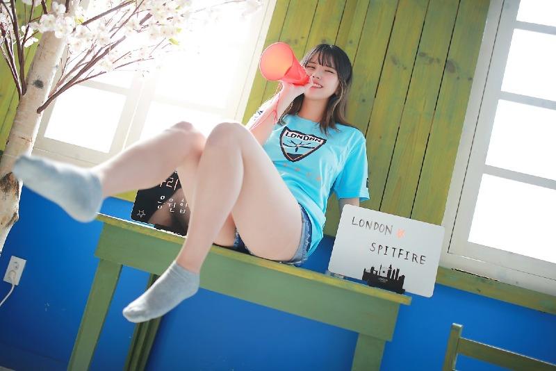 가지산범 어디갔어??