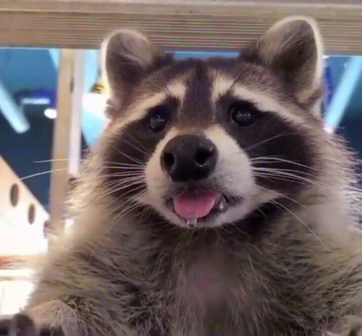 한복의 우수성