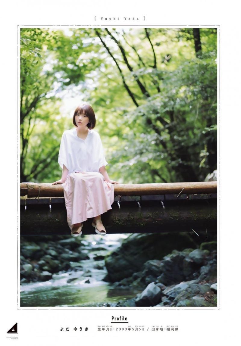 
요다 유우키 (
