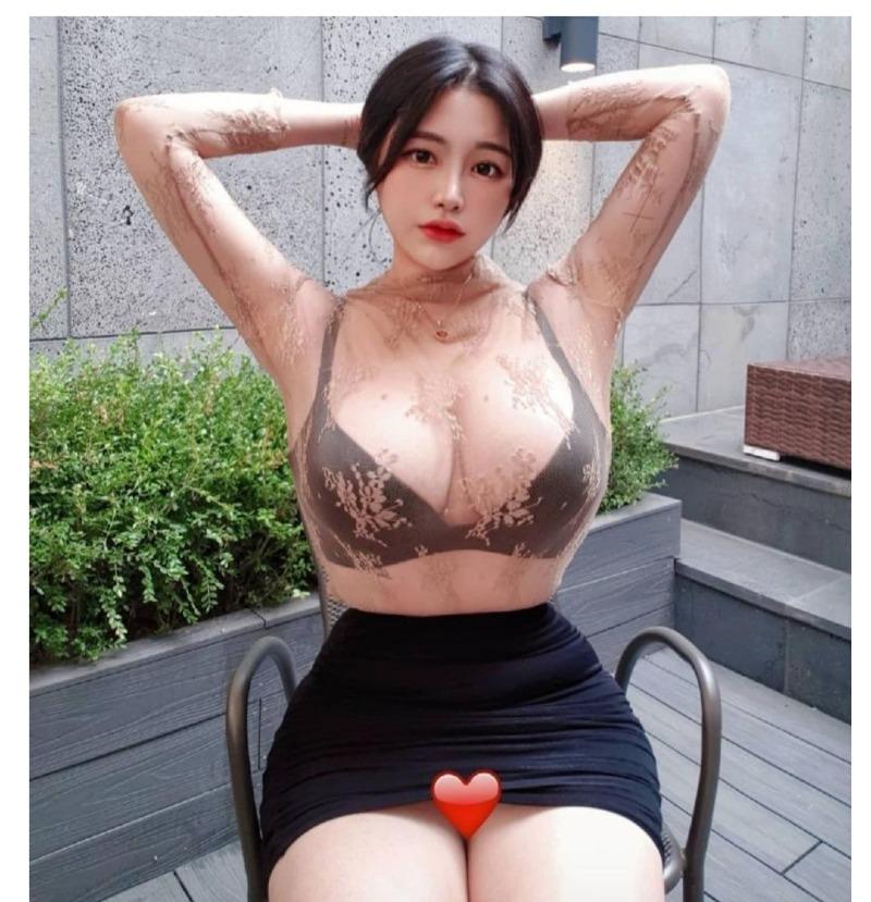 
모델들

