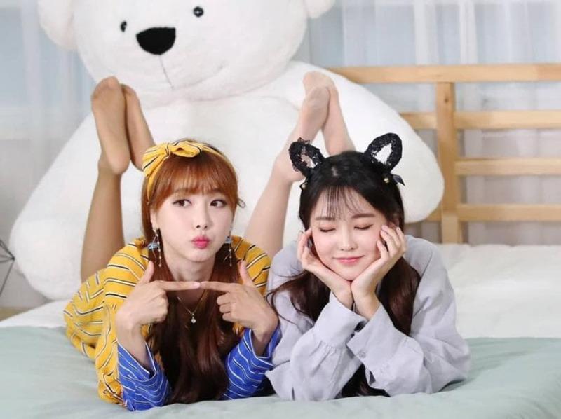 
모델
