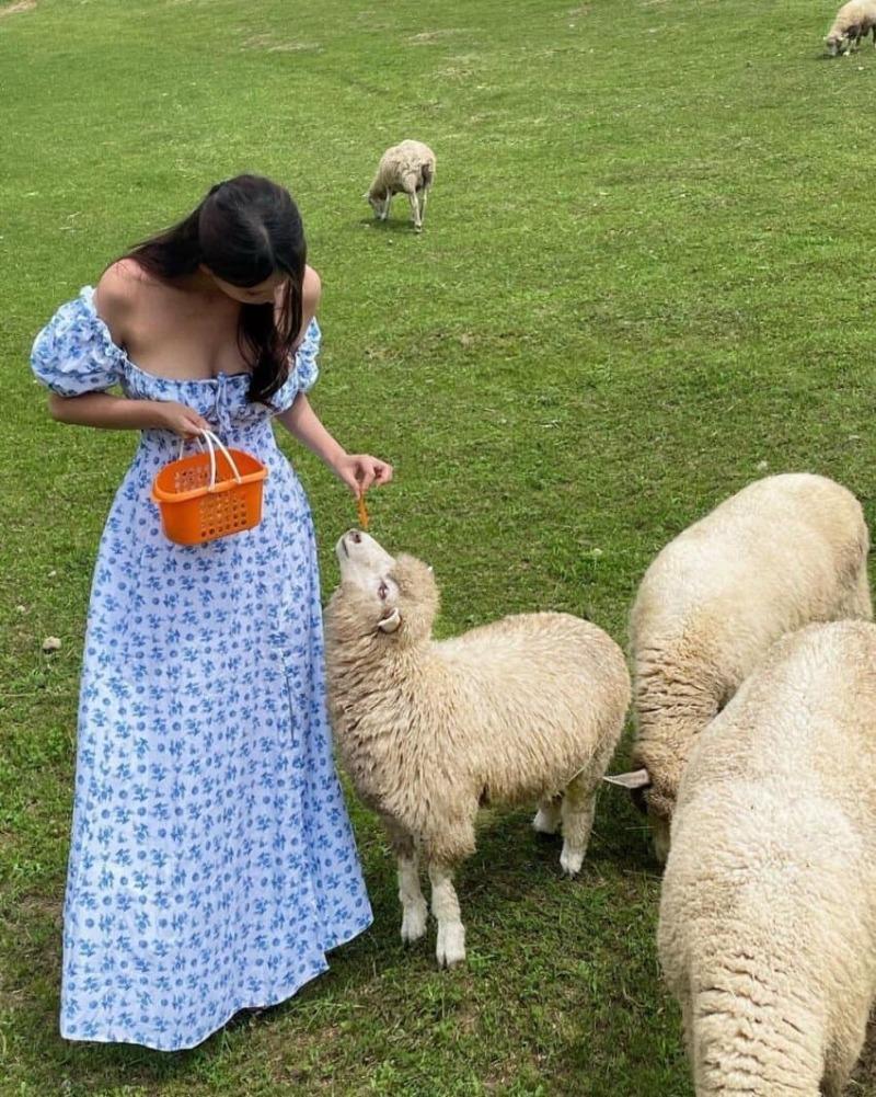 
즐거운 아침
