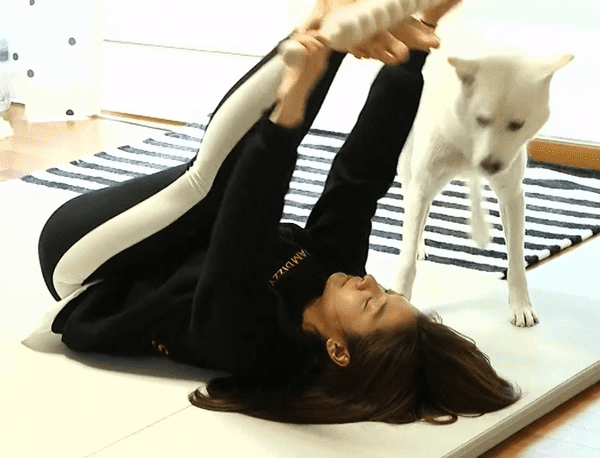 
ㅇㅎ] ㅁㅁ
