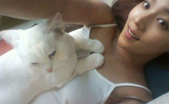
ㅇㅎ] 냥이

