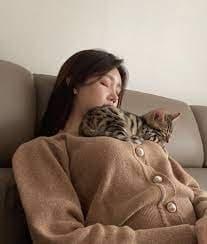 
ㅇㅎ] 냥이
