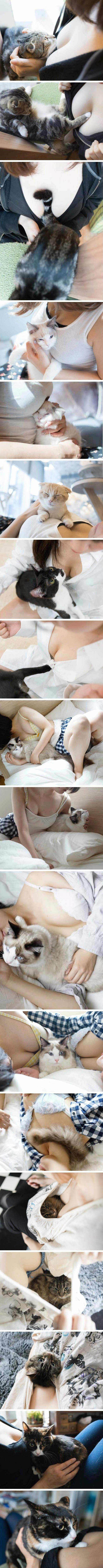 
고양이
