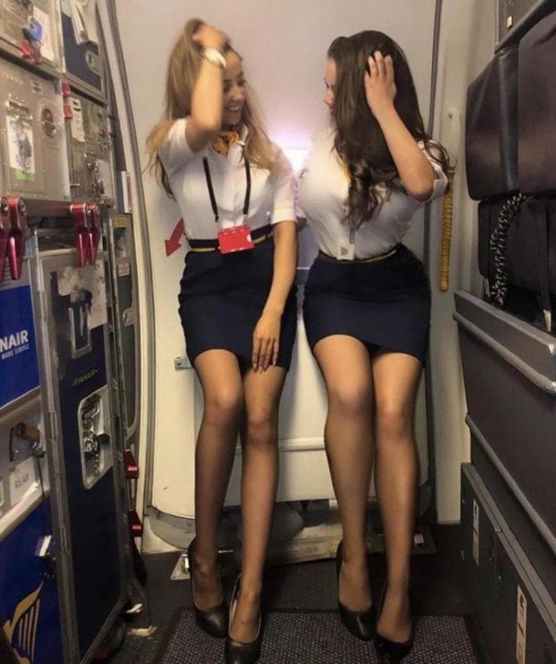 
비행기
