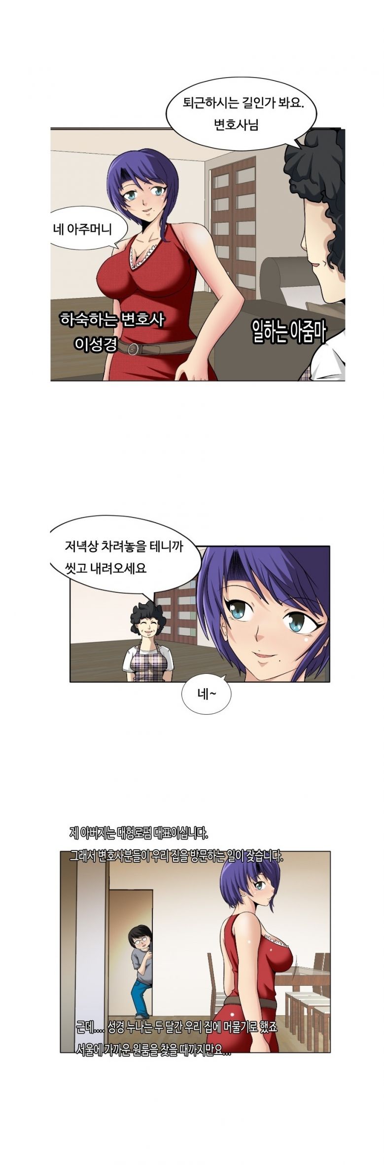
우리집에 머물던 변호사 누나 임신시킨 썰
